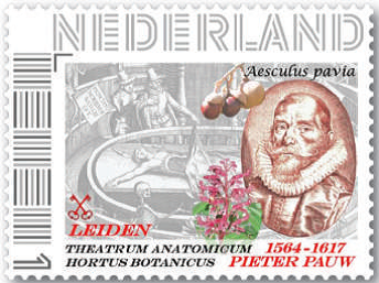 Pieter Pauw, bouwer van Theatrum Anatomicum Leiden.