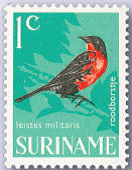Merkwaardige en interessante weetjes over vogelpostzegels: deel 1.